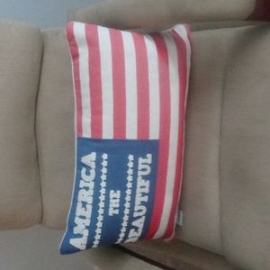 America the beautiful throw pillow
